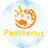 Pantherius