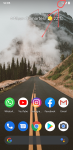 Screenshot_20200404-160521_Pixel_Launcher~2.png