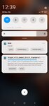 Screenshot_2020-06-20-12-39-47-157_com.teslacoilsw.launcher.jpg