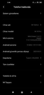 Screenshot_2020-11-20-02-46-23-049_com.android.settings.jpg