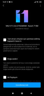 Screenshot_2020-12-05-15-47-07-204_com.android.updater.jpg