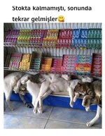 WhatsApp Image 2021-05-17 at 17.25.29.jpeg