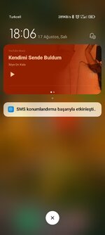 Screenshot_2021-08-17-18-06-47-903_com.miui.home.jpg