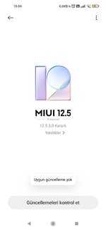 Screenshot_2022-04-01-18-04-36-278_com.android.updater.jpg