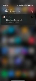 Screenshot_2023-01-31-14-17-33-626_com.miui.home.jpg