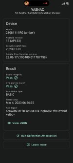 Screenshot_2023-03-04-06-47-50-508_rikka.safetynetchecker.jpg