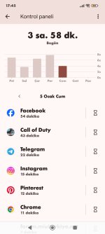 Screenshot_2024-01-05-17-45-16-127_com.google.android.apps.wellbeing.jpg