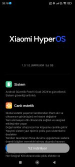 Screenshot_2024-02-11-20-18-54-795_com.android.updater.jpg