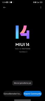 Screenshot_2024-02-15-12-54-32-837_com.android.updater.jpg