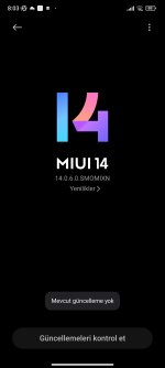 Screenshot_2024-07-24-08-03-49-418_com.android.updater.jpg