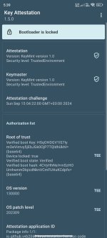Screenshot_2024-09-15-05-39-41-007_io.github.vvb2060.keyattestation.jpg