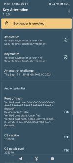 Screenshot_2024-09-19-11-35-50-184_io.github.vvb2060.keyattestation.jpg