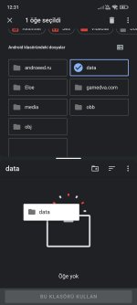 Screenshot_2024-10-11-12-31-52-655_com.google.android.documentsui.jpg