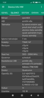 Screenshot_2024-10-18-11-32-11-423_ru.andr7e.deviceinfohw.jpg