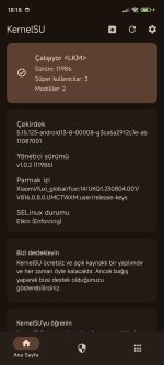 Screenshot_2024-12-18-18-18-36-950_me.weishu.kernelsu.jpg
