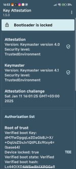 Screenshot_2025-01-11-16-53-58-750_io.github.vvb2060.keyattestation.jpg