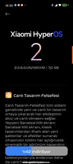 Screenshot_2025-01-20-16-30-49-877_com.android.updater.jpg