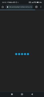 Screenshot_2025-01-25-16-12-07-462_com.android.chrome.jpg