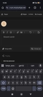 Screenshot_2025-05-02-18-40-58-038_com.android.chrome.jpg