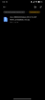 Screenshot_2025-05-04-14-02-31-317_com.mi.android.globalFileexplorer.jpg