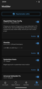 Screenshot_20250505-220418_Settings.png