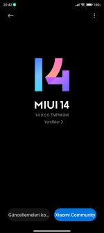 Screenshot_2025-05-20-20-42-57-030_com.android.updater.jpg