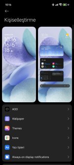 Screenshot_2025-06-16-10-16-36-607_com.android.thememanager.jpg