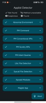 Screenshot_2025-06-22-17-38-35-237_icu.nullptr.applistdetector.jpg