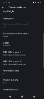 Screenshot_20250630-003323_Ayarlar.png