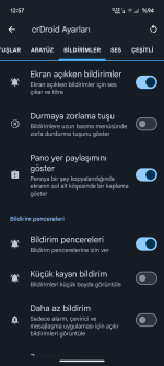 Screenshot_20250703-125718_Ayarlar.png