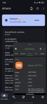 Screenshot_2025-07-08-00-02-44-162_flar2.devcheck.jpg