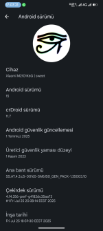 Screenshot_20250729-170721_Ayarlar.png