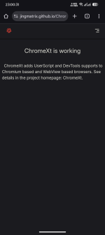 Screenshot_20250804-230032_Chrome.png