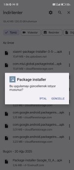 Screenshot_2025-08-20-01-56-14-853_com.google.android.packageinstaller.jpg