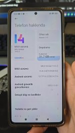 1000033360.jpg