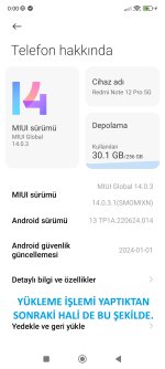SONRAKI_HALI.jpg