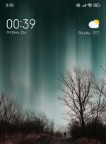 Screenshot_2025-10-04-00-39-50-525_com.miui.home-edit.jpg