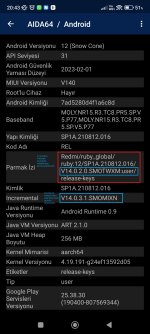 AIDAANDROID.jpg