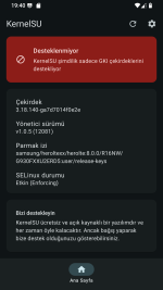 Screenshot_20251014-194015_KernelSU.png