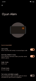 Screenshot_20251128-235949_Oyun Alanı.png