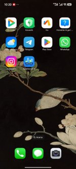 IMAGE 2025-11-29 11:48:19.jpg