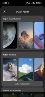 WhatsApp Image 2026-03-20 at 02.30.55 (4).jpeg