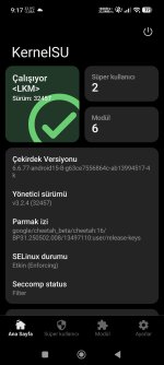 Screenshot_2026-05-17-09-17-24-921_me.weishu.kernelsu.jpg
