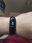 13118453.jpg