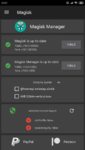 Screenshot_2019-02-18-23-21-26-842_com.topjohnwu.magisk.png