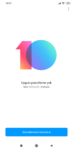 Screenshot_2019-03-01-13-21-21-726_com.android.updater.png