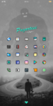 Screenshot_2019-05-20-03-52-57-596_com.teslacoilsw.launcher.png