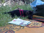 13062010317.jpg