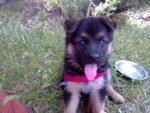 13062010323.jpg