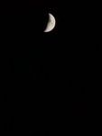 IMG_20190806_205144.jpg